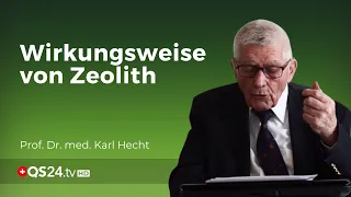 Zeolith im Körper: Wirkungsweise nach der Einnahme | Prof. em. Prof. Dr. med. Karl Hecht | QS24