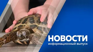 Новости от 29.01.2024г.