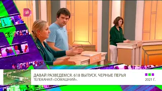 Клип 10 Александр Мазаев в шоу Давай разведемся ¦ Выпуск 618  Чёрные перья  т к  Домашний ТВ ВЕРСИЯ