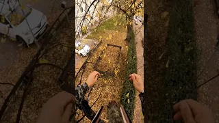 Assassin's Creed Leap of Faith in Real Life