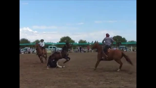 Exitosa jineteada en Telén: Ramos VS El Mulato