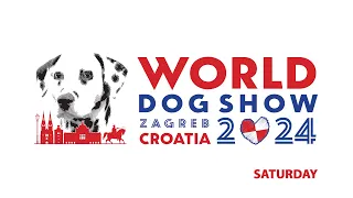 WDS 2024 ZAGREB - Saturday