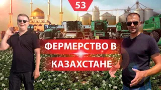 Сельское хозяйство в Казахстане. Что выращивают, поддержка государства и климат