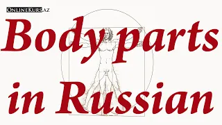 Body parts in Russian