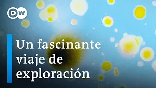 Los mundos microscópicos de la atmósfera | DW Documental