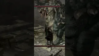 Bosses do be different in new game plus (dark souls)