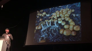 Alan Rockefeller on identifying psychoactive mushrooms growing in California