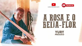 A ROSA E O BEIJA-FLOR - YURY PRESSÃO (JANEIRO 2022) FORRÓ PISEIRO 2022 REPERTÓRIO NOVO #yurypressão