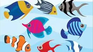 Super minds 3 unit 5 page 65 fish with stripes spiral 0001