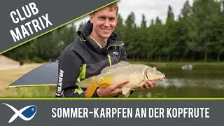 ***MATCH ANGELN TV*** Sommer-Karpfen an der Kopfrute