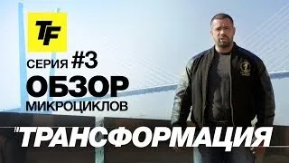 Проект Трансформация. Выпуск 3. Обзор микроциклов.