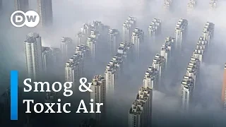 How much does smog and air pollution shorten our lives? | DW News