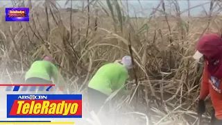 Mga magsasaka ng tubo umapela ng tulong matapos magsara ang malaking gilingan sa Batangas