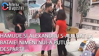 Puterea dragostei (01.04.)-Hamude si Alexandru s-au luat la bataie! Nimeni nu i-a putut desparti!