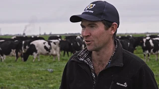 Andrew Grant talks about the economics of calf rearing