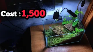 My New Aquascape  | Trending Planted Tank Malayalam