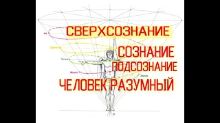 Человек Разумный: Сознание-ПодСознание-СверхСознание / Виктор Максименков