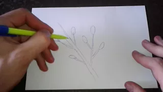 Как поэтапно нарисовать ВЕРБУ для начинающих и детей? How to DRAW a Pussy-willow