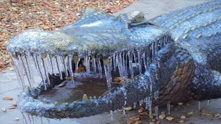 Don’t Pull a Frozen Crocodile Out of Ice