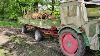 Deutz F 1 L 514/51 mit Strautmann Hydraulikkipper