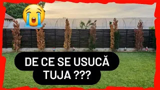 DE CE SE USUCA TUIA (TUJA)