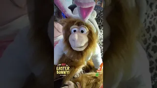 #EasterBunnyAudition (#Parody)