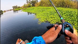 Big TIDE Swing Fishing (Full Moon California Delta Bass)