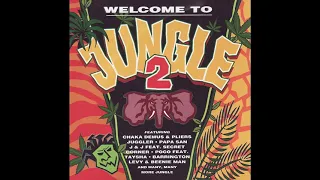 Various - Welcome To Jungle Vol. 2 (1995)