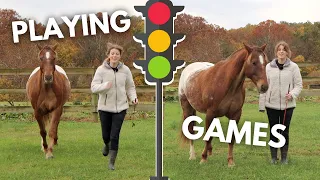 HOW TO PLAY WITH A HORSE | Pt. 2