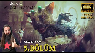 STOP, DO NOT GO | THE LAST GUARDIAN (PS5) 4K 60 FPS Turkish Part 5