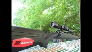 Savage Axis 243 Test