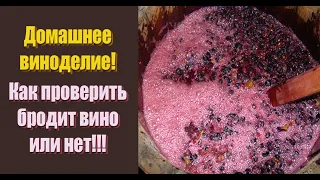 Домашнее вино НЕ БРОДИТ - КАК ПРОВЕРИТЬ?