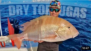 Dry Tortugas - Catch Clean Cook - Insite & Tips