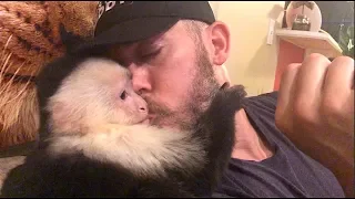Capuchin Monkey Loves Daddy!