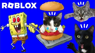 Escape de la prision de Bob Esponja roblox jugando con gatitos Luna y Estrella / Gameplay en español