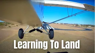 Three Point & Wheel Landings | Tailwheel Training Pt 2