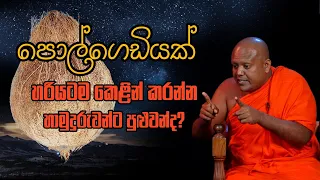 Ginimelaya|පොල්ගෙඩියක් හරියටම කෙළින් කරන්න හාමුදුරුවන්ට පුළුවන්ද