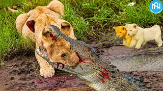 30 Tragic Moments! When Animals Messed With The Wrong Opponent - When Animals Go On A Rampage! #6