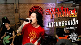 นิทานหลอกเด็ก - Sweet Mullet At Bad Neighbor Cafe