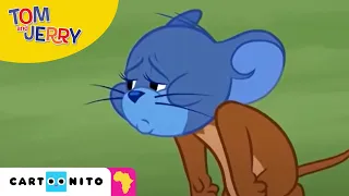 Tom and Jerry: Feeling Blue | Cartoonito Africa