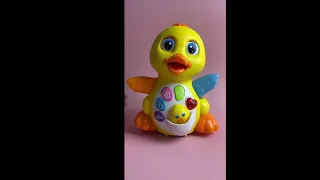 Baby Dancing Duck In Action