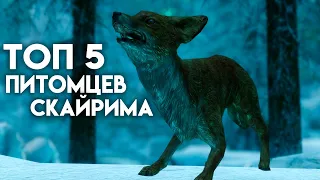 Скайрим - Топ 5 Питомцев Спутников