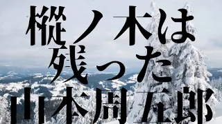 『樅ノ木は残った 山本周五郎』AudiobookSpace朗読【字幕対応】
