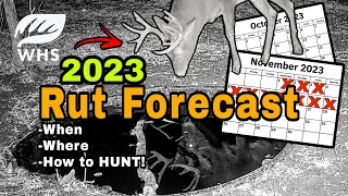 2023 Whitetail Rut Forecast