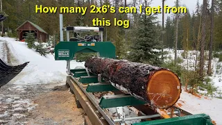 From Log to Lumber
