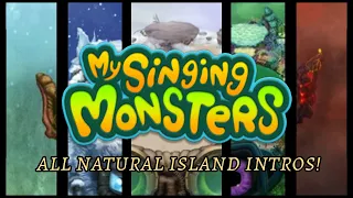 All Natural Island Intros! | MSM PERPLEXPLORE 2024 NEW FEATURE!