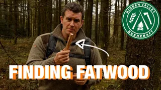 WHY are people BUYING FATWOOD??? Let me show you how to find it.