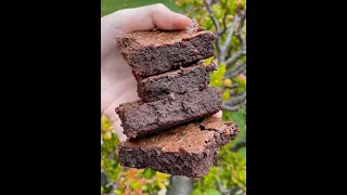 Best Flourless Brownies (gluten-free and delicious!)
