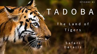 Tadoba Jungle Safari | Tadoba Andhari Tiger Reserve |  Safari Booking Details