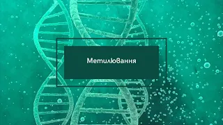 Метилювання - один із найважливіших процесів в організмі. Відео презентація Андрія Примака